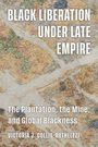 "Black Liberation Under Late Empire", "The Plantation, the Mine, and Global Blackness", Victoria J. Collis-Buthelezi. Bunte Textur.