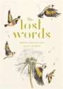 Robert Macfarlane: The Lost Words, Buch