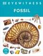 Paul David Taylor: Fossil, Buch