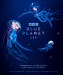 „Cover To Be Revealed“, „DK“, „BBC Blue Planet III“. Illustration eines Hais am Meeresgrund, umgeben von Fischen.
