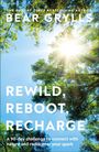 "REWILD, REBOOT, RECHARGE" über sonnendurchfluteten Bäumen, blauer Himmel.