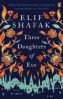 Elif Shafak: Three Daughters of Eve, Buch