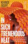 Kehinde Fadipe: In Such Tremendous Heat, Buch
