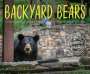 Amy Cherrix: Backyard Bears, Buch