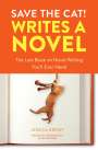 Jessica Brody: Save the Cat! Writes a Novel, Buch