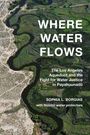 Wo Wasser fließt, das Los Angeles Aquädukt und der Kampf für Wasserrechte. Luftaufnahme eines Flusses in grüner Landschaft.