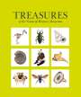 Natural History Museum: Treasures of the Natural History Museum, Buch