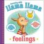 Anna Dewdney: Llama Llama Feelings, Buch
