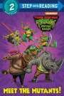 Matt Huntley: Meet the Mutants! (Teenage Mutant Ninja Turtles: Mutant Mayhem), Buch
