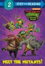 Matt Huntley: Meet the Mutants! (Teenage Mutant Ninja Turtles: Mutant Mayhem), Buch