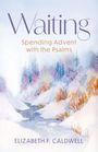 "Waiting: Spending Advent with the Psalms. Elizabeth F. Caldwell." Aquarelllandschaft mit verschneitem Fluss und Bäumen.