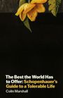 „The Best the World Has to Offer: Schopenhauer’s Guide to a Tolerable Life“ von Colin Marshall. Illustration mit gelben Blüten.
