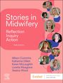 Allison Cummins: Stories in Midwifery: Reflection, Inquiry, Action, Buch