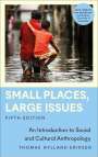 Thomas Hylland Eriksen: Small Places, Large Issues, Buch