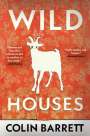 Colin Barrett: Wild Houses, Buch