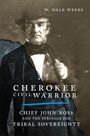 W Dale Weeks: Cherokee Civil Warrior, Buch