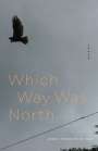 Anne Pierson Wiese: Which Way Was North, Buch