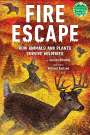 Jessica Stremer: Fire Escape, Buch