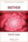 David Capes: Matthew Through OT Eyes, Buch