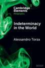 Alessandro Torza: Indeterminacy in the World, Buch