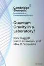 Nick Huggett: Quantum Gravity in a Laboratory?, Buch