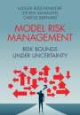 Ludger Rüschendorf: Model Risk Management, Buch