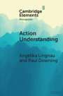 Paul Downing: Action Understanding, Buch