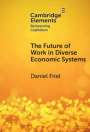 Daniel Friel: The Future of Work in Diverse Economic Systems, Buch
