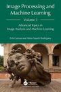 „Image Processing and Machine Learning“, Volume 2, erörtert fortgeschrittene Themen. Bronze-Skulptur einer liegenden Figur.