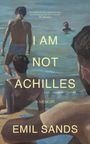 „I AM NOT ACHILLES“, „A MEMOIR“, „EMIL SANDS“. Gemälde mit Männern am Strand und im Wasser.