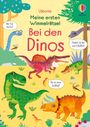 Titel: "Meine ersten Wimmelrätsel: Bei den Dinos". Verschiedene bunte Dinosaurier und Sprechblasen mit Fragen.