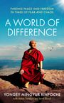 Oben Text: „FINDING PEACE AND FREEDOM IN TIMES OF FEAR AND CHAOS.“ Darunter sitzt Yongey Mingyur Rinpoche lachend in roter Robe auf einem Felsen.