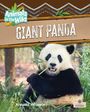 Annette Whipple: Giant Panda, Buch