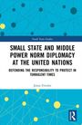 Jonas Fritzler: Small State and Middle Power Norm Diplomacy at the United Nations, Buch