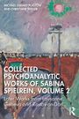 Buchtitel: "Collected Psychoanalytic Works of Sabina Spielrein, Volume 2". Impressionistische Illustration mit Landschaft.