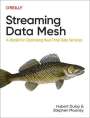 Hubert Dulay: Streaming Data Mesh, Buch