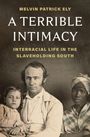 Titel: "A Terrible Intimacy: Interracial Life in the Slaveholding South" von Melvin Patrick Ely. Drei ernste Personen.