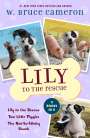 W. Bruce Cameron: Lily to the Rescue Bind-Up Books 1-3: Lily to the Rescue, Two Little Piggies, and the Not-So-Stinky Skunk, Buch