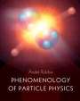 André Rubbia: Phenomenology of Particle Physics, Buch