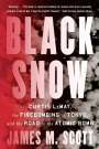 James M Scott: Black Snow, Buch