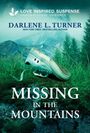 „Missing in the Mountains“, Schuh liegt im Gras, mit nebelverhangenen Bergen im Hintergrund.
