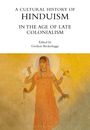 A Cultural History of Hinduism in the Age of Late Colonialism, Buch