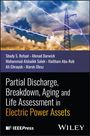 "Partial Discharge, Breakdown, Aging and Life Assessment in Electric Power Assets" ist der Haupttext. Oben sind sechs Autoren. Im Hintergrund Blitze am Himmel.