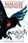 Maggie Stiefvater: The Raven Boys, Buch
