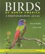 Bruce M. Beehler: Birds of North America, Buch