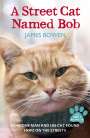 James Bowen: A Street Cat Named Bob, Buch
