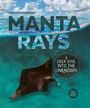 „Manta Rays“ von Megan Clendenan. „A Deep Dive into the Unknown“. Ein Manta im Ozean, darunter ein wolkiger Himmel.