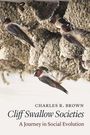 „Cliff Swallow Societies: A Journey in Social Evolution“ von Charles R. Brown. Schwalben in Nestern an einer Felswand.
