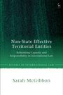 „Non-State Effective Territorial Entities“, „Rethinking Capacity and Responsibility in International Law“. Grün-weiß.