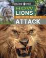 Tim Harris: Predator vs Prey: How Lions and other Mammals Attack, Buch